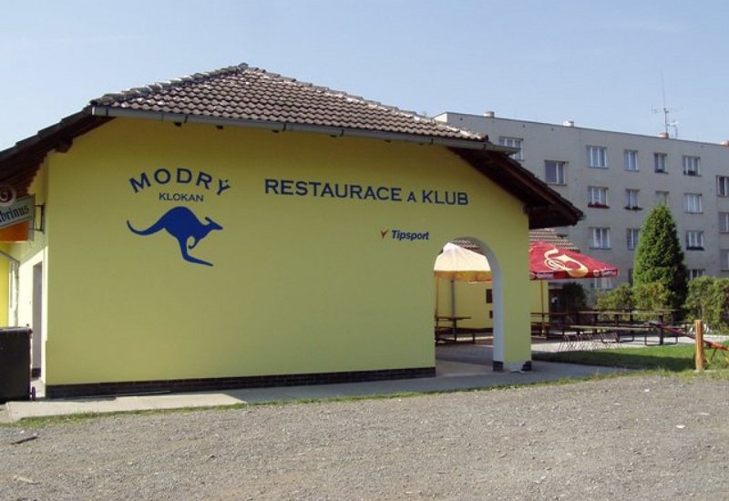Modrý klokan