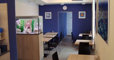 Rybena bistro