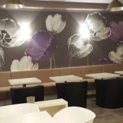 Falknow CAFE