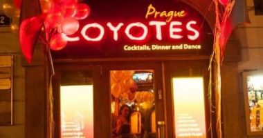 COYOTES BAR