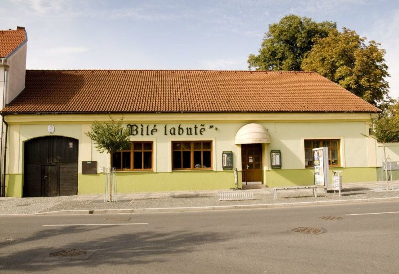 U Bílé labutě