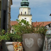 Café Bistro Matiné