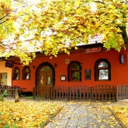 Restaurant U Medvídka
