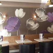 Falknow CAFE