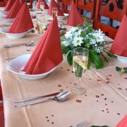 Restaurant penzionu U jelena