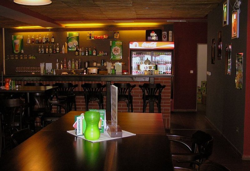 Střelený kačer
