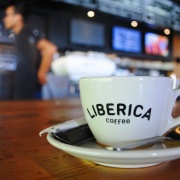 Kavárna Liberica Café