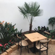 Dolicafe