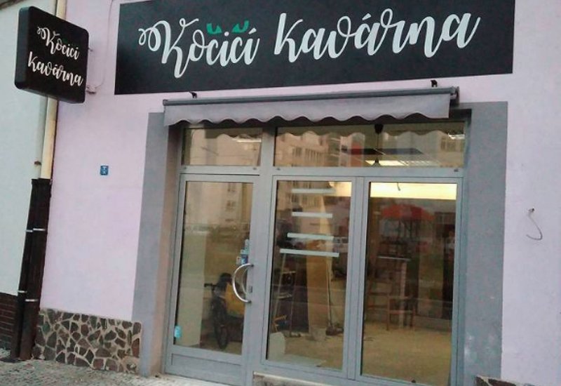 Kočičí kavárna Plzeň