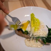 Elsner Bistro