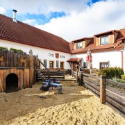 Černý Kohout
