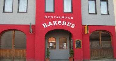 Bakchus