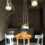 Kafe Friedrich