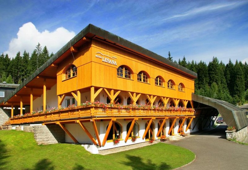 Hotel Lesana