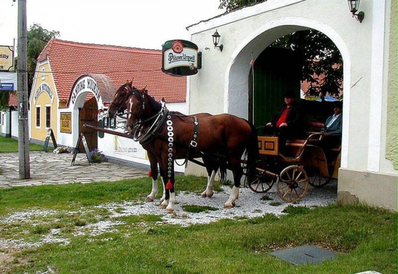 Restaurace Muzeum