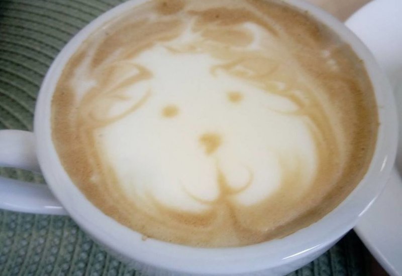 Café v Domečku