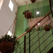 Prašád - restaurace pro zdraví Praha