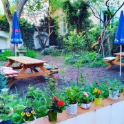 Natureza