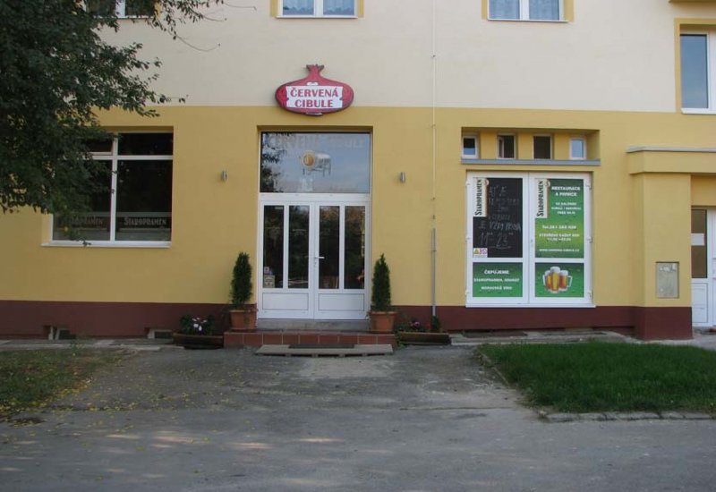 Červená cibule