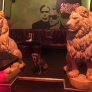 De Ja Vu music club Prague