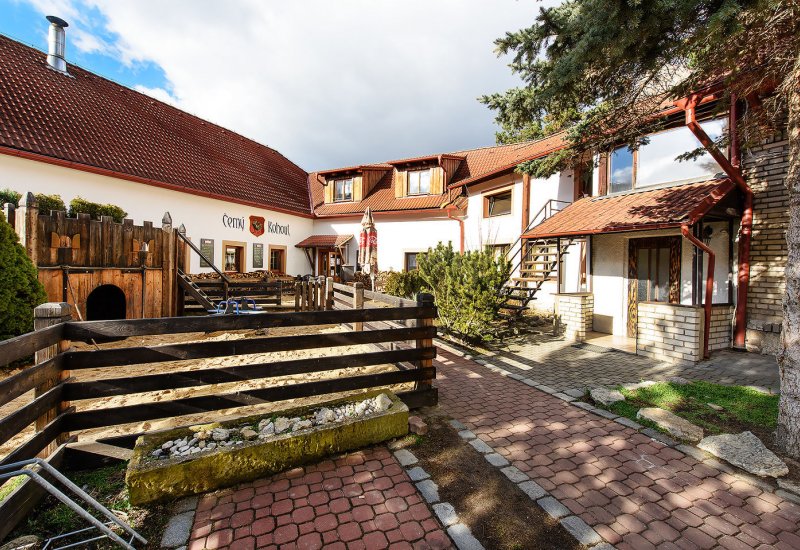 Černý Kohout