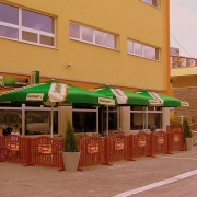 Střelený kačer