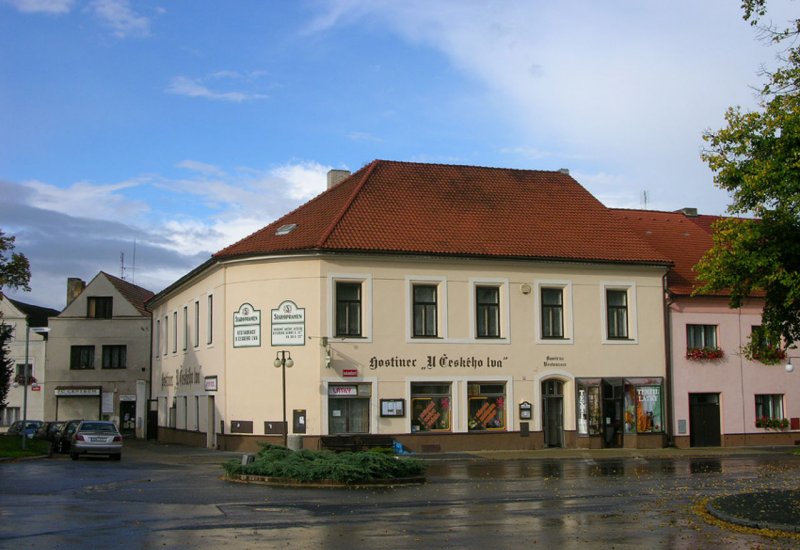 U Českého lva