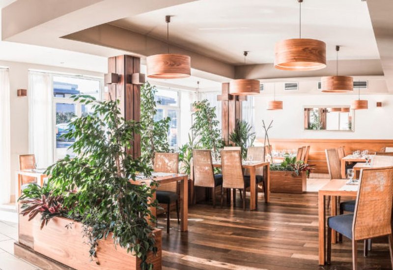 CAFE Pitkovice