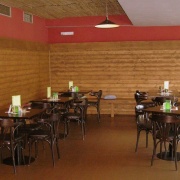 Střelený kačer