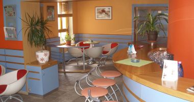 Bar Flamingo