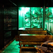 Cafe &amp; Beer Haus