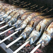 Pod Lipami