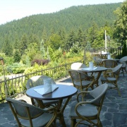 Restaurant Zlatý Orel