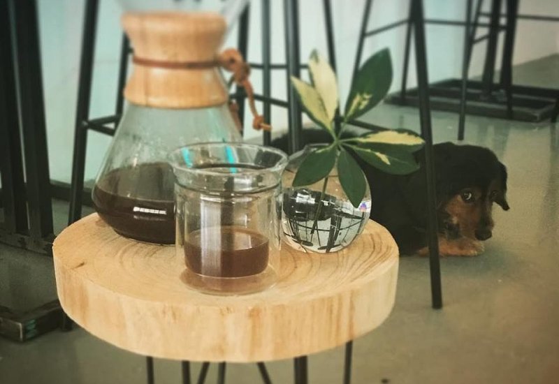 Kafe•Pragovka
