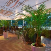 Viktoria restaurant