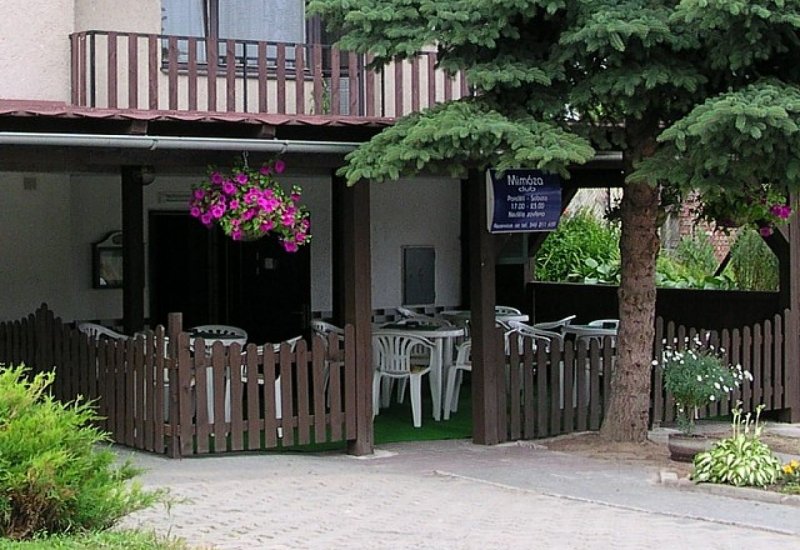 Mimoza club