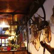 Restaurace Kozlovna u Staročecha