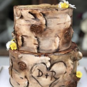 Cake Art