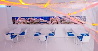 Aquarium Bar