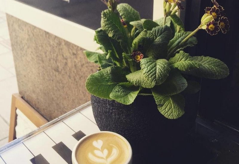 Kafe Smetanka