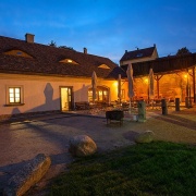 Černá ovce