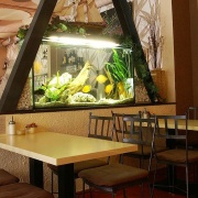 Art Café