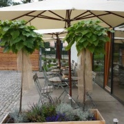 Kavárna Café LaDus