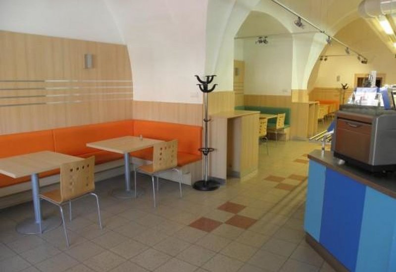 Slunečnice