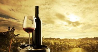 Vinotéka Bottega del Vino
