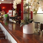 CAFÉ PAVLINA