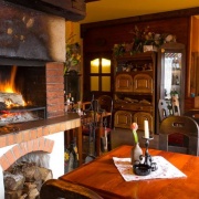 Grill restaurant U horkých kamenů