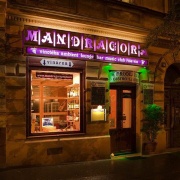 Mandragora